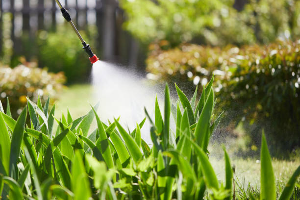 Tamper-Resistant Bait Stations for Rodents in Durham