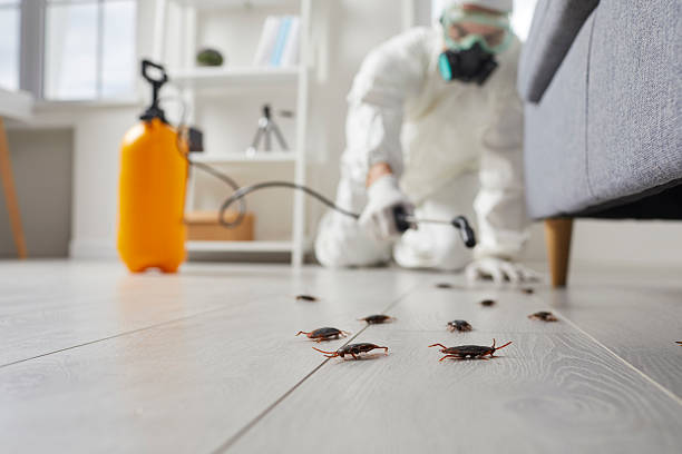 Commercial Rodent Management in Durham